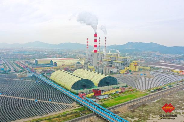 浙江公司北仑电厂煤场改造获地方媒体点赞