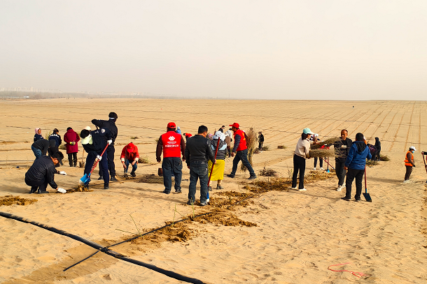 2025-03-14-B3EP4OXM - 副本