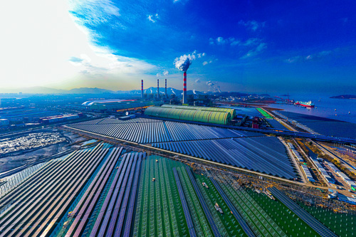 浙江公司北仑电厂:火,光并举谱写高质量发展新篇章