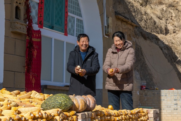 图为米脂县高西沟村的果农高乃柱正和老伴儿在自家院子里一起掰玉米。阳光洒满小院,平淡的劳作中透着安详与幸福